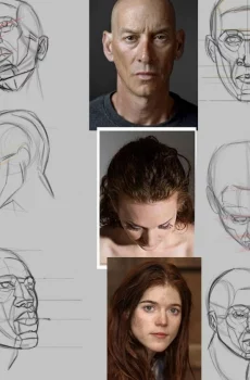 BotanicalGrove Wallpaper